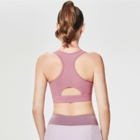 Порошок камелии [обычная версия, без пряжки.