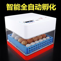 Ikbett incubator automatic small household type 20 48 incubator chicken duck goose egg incubator
