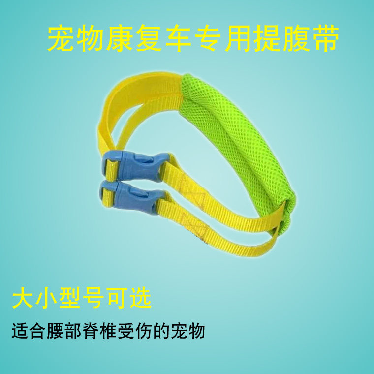 Pet-wheelchair special waist-back injury support walking strap tip tip for kitten dog chest