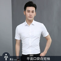 Плоскость белый короткий карманный человек