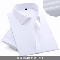 Плагон с белым ртом с коротки