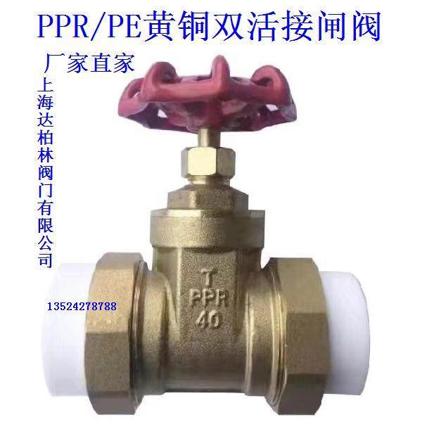 Shanghai Da Berlin Valve Co., Ltd. PPR brass double live gate valve PPR brass double live stop valve