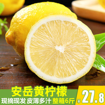 (Now picked and sent)Sichuan Anyue yellow lemon 6 kg fresh seasonal fruit first-class fruit lime wholesale