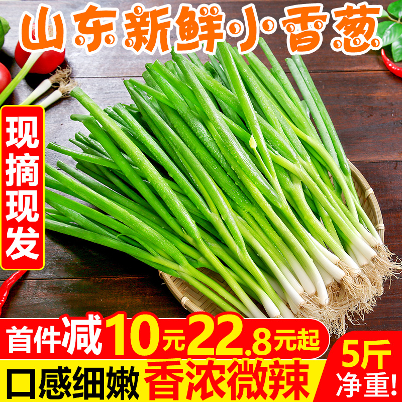 (Gan Fuyuan) Shandong Fresh small and fragrant onion 5 catty should make vegetable whole box when the season farmhouse subdivided