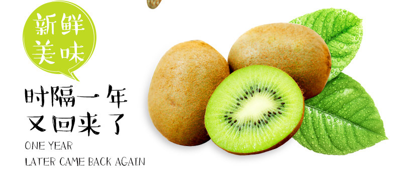 正宗周至猕猴桃，郑州猕猴桃团购批发商家插图1