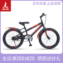Phoenix mountain bike transmission 20 inch 22 childrens bicycle shock absorber disc brake for men and women middle and elementary school students Racing