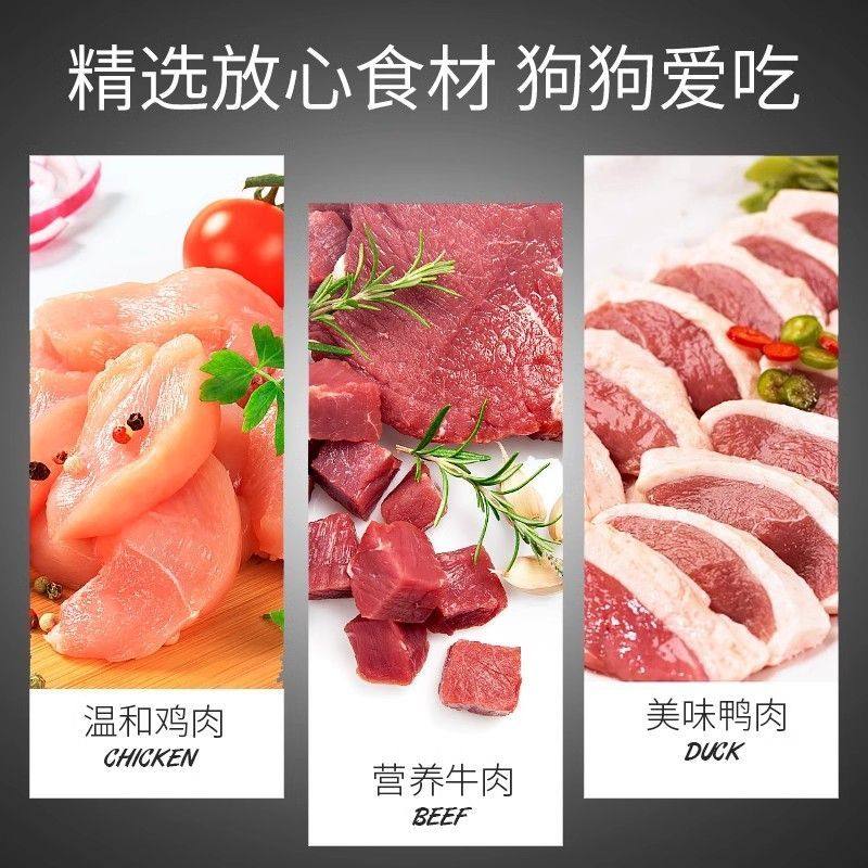 2026年最新宠物犬咬人排行榜出炉，养狗前必知哪些安全风险？