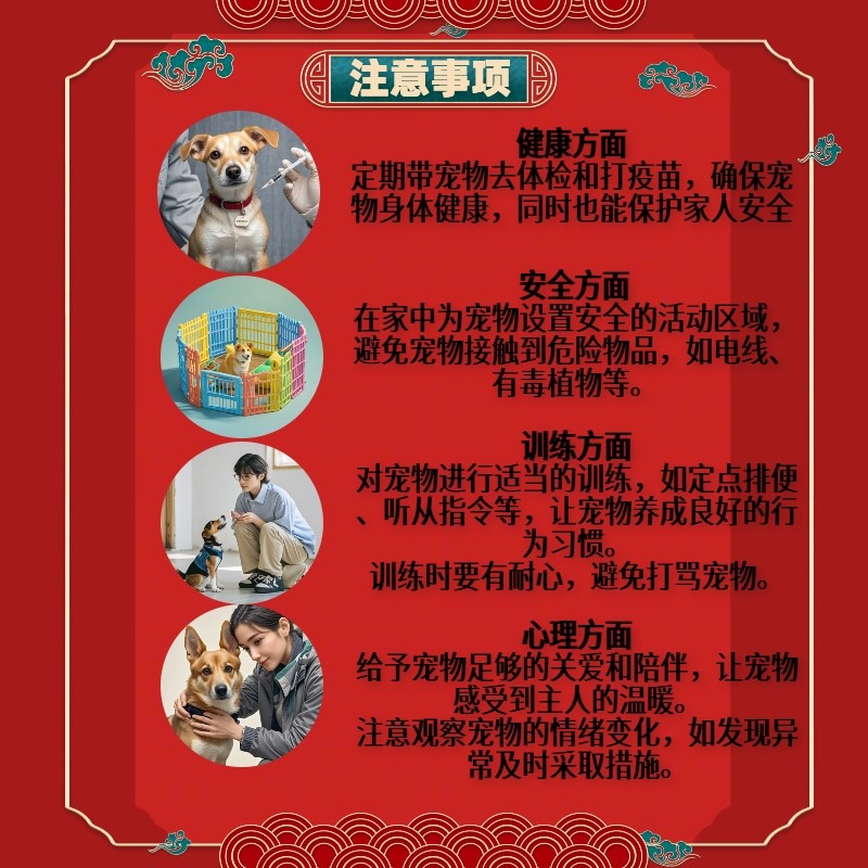 2026年如何挑选适合家庭的腊肠犬？新手养腊肠犬必备指南