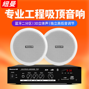 Newman Ceiling Speaker Audio Amplifier Set Broadcast Ceiling-Mounted Speakers Background Music Playback Speakers