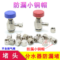 Water distributor exhaust valve plug floor heating exhaust valve small copper cap gold leak-proof cow style exhaust orifice wire plug