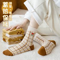 Socks Woman Autumn Winter Warm Thickening Pure Cotton Woolen Loop Socks Winter Day Department Sweet and Garnter Warm Towel Socks Midcylinder