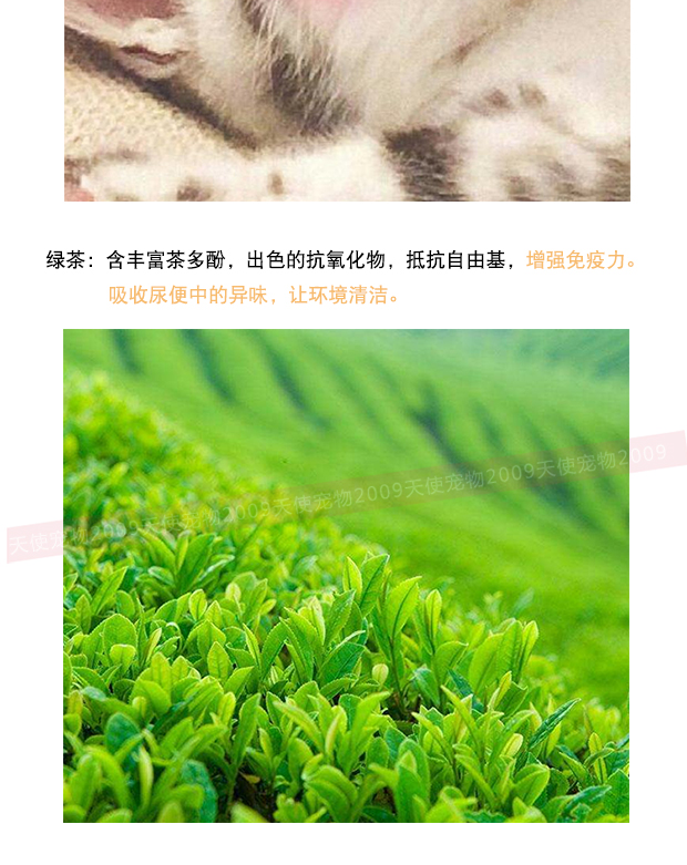 nhập khẩu tại chỗ của mèo thức ăn cho mèo Hoàng gia vật nuôi thức ăn gia súc tự nhiên để làm chậm lão hóa này Marigold thêm 1.5kg sức mạnh - Cat Staples thức ăn thú cưng