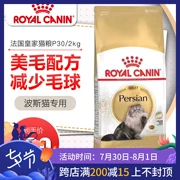 Tại chỗ! Vật nuôi thiên thần | Pháp nhập khẩu Royal Royal Cat Food Thức ăn cho mèo Ba Tư P30 2kg - Cat Staples