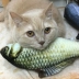 Mèo đồ chơi 3D mô phỏng cá catnip sang trọng gối mol đồ chơi bóng cắn cắn mèo vui tạo vật phẩm mèo cung cấp - Mèo / Chó Đồ chơi