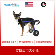 Pet car hind limb paralysis moped leg amputation Old and weak walking dog car push back leg assist Cat Teddy