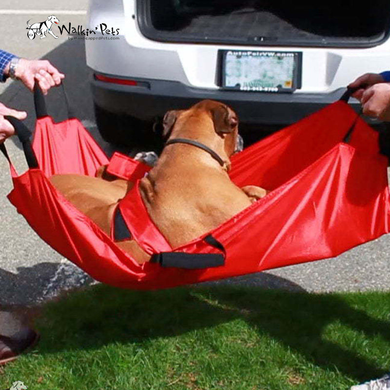 American Walkinpets Pet Stretcher Medium Large Dog Injured Elderly Paralysis Disabled Ambulance Transporter Portable