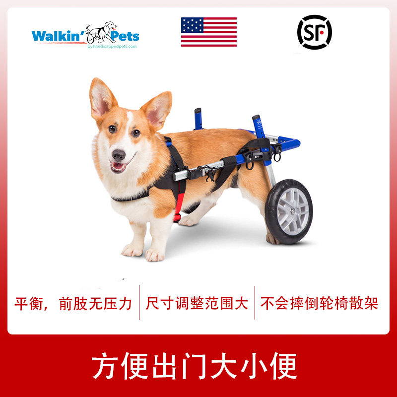 American pet moped elderly hind limb weakness bracket disability exercise paralysis rehabilitation cart dog corgi special