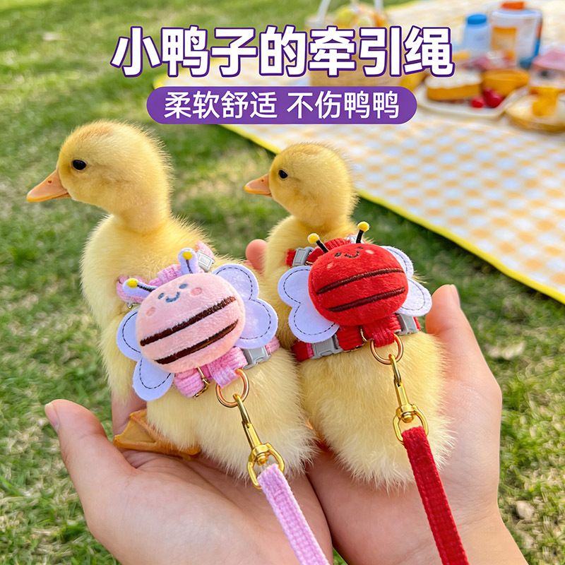 Duck-Specific Leash to Prevent Escape, Retractable Pet Harness for Male and Female Ducks, Small Duck Harness, Small Clothing Supplies
