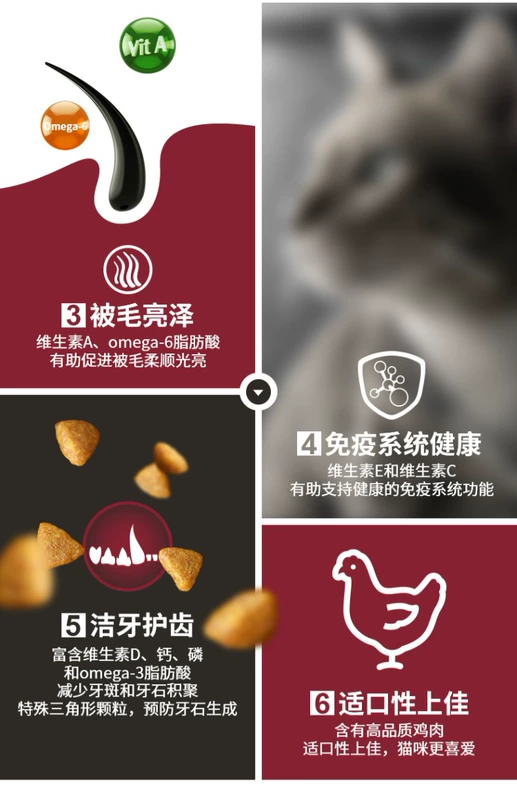 Vương miện có thể thức ăn cho mèo ban đầu Nestle Anh làm đẹp ngắn búp bê mèo giá đầy đủ dinh dưỡng vào thức ăn cho mèo 1,2kg - Cat Staples thức ăn cho mèo con 1 tháng tuổi