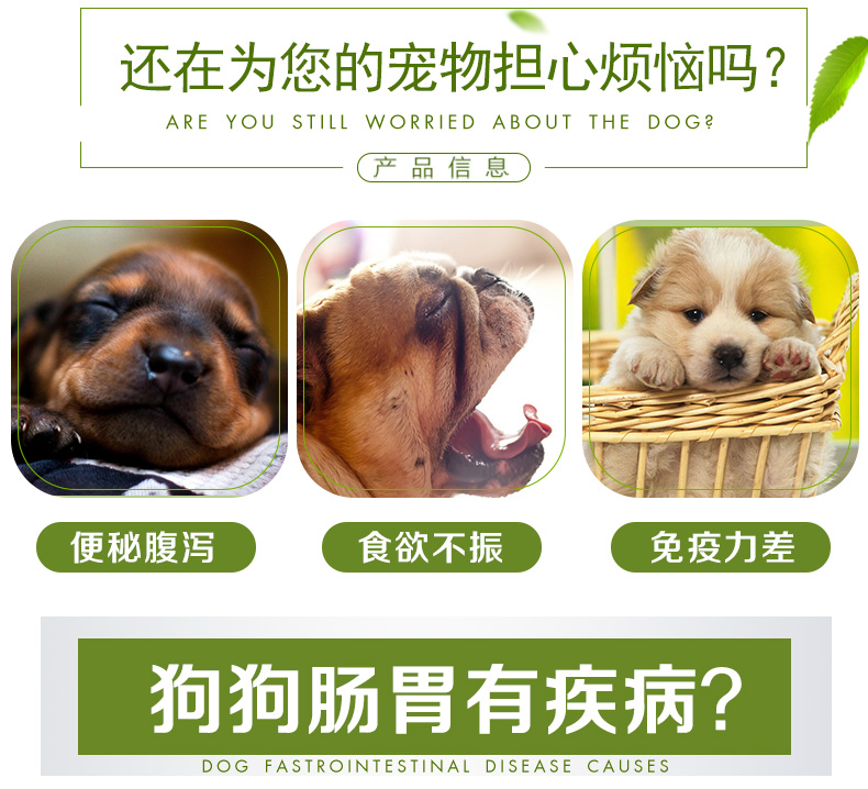 Nấm xanh Nhật Bản men vi sinh điều hòa dạ dày thú cưng men vi sinh dạ dày chó dạ dày mèo tiêu chảy nôn - Cat / Dog Health bổ sung sữa cho chó 3 tháng tuổi	