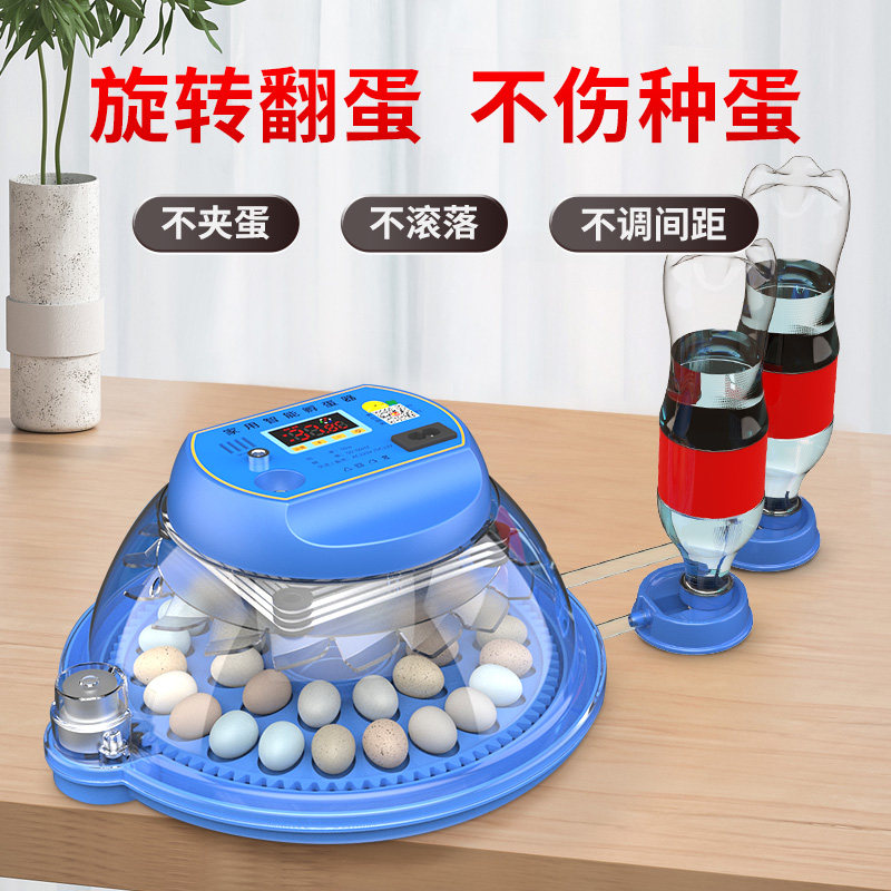 Incubators Small Household Fully Automatic Smart Bird Eggs Rudding Chicks Hatchery Small Saucer Hatching Box Hatching Machine-Taobao