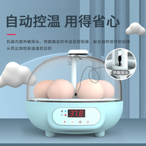 Incubator Science and Education Chicken Incubator Small household type child incubator Parrot Mini automatic incubator