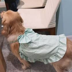 Dog Dress for Large Dogs, Summer Thin Style, Golden Retriever, Labrador, Samoyed, New Princess Style, Cute Princess Dress