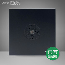 Schneider switch socket pleasing deep grey sound and light control energy saving switch four-wire system with fire emergency function black