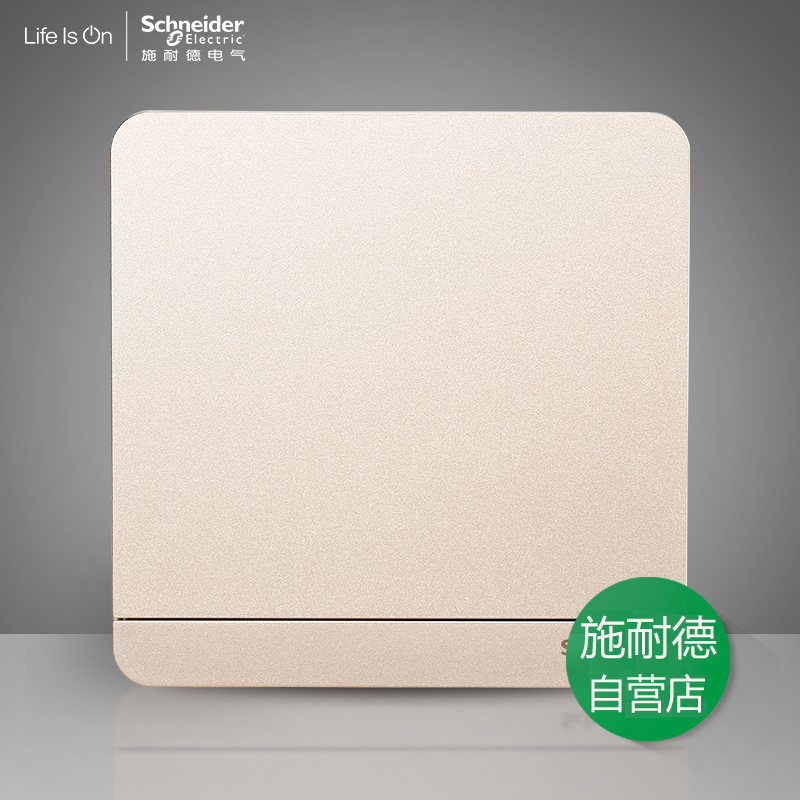 Schneider switch socket Fashion Series Thin Twilight Gold Blank Panel Blocked Wall Blind Plate