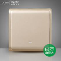 Schneider switch socket Fengshang gold 32A bipolar switch light Curly Yuba high-power air-conditioning switch