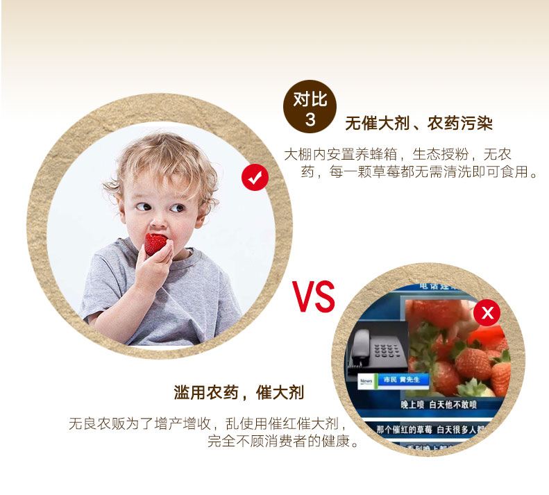 圣野果源 丹东东港 99红颜奶油草莓 3斤 图12