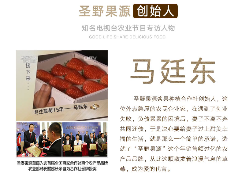 圣野果源 丹东东港 99红颜奶油草莓 3斤 图4