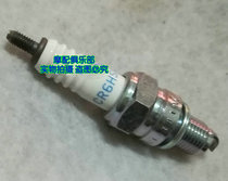 Applicable to the new continent Honda mighty prestige free Sissi spark plug Dior magic halberd CR6HSA