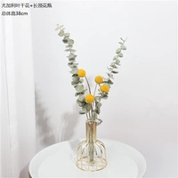 Высушенные цветы Yugali содержат длинную цветочную подставку +прозрачную стеклянную бутылку