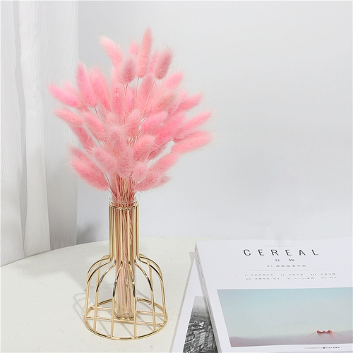 Ins feng rabbit хвост сухой цветок