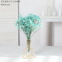 Tiff Lan Mang Tian Xing содержит длинную цветочную стенд +прозрачную стеклянную бутылку