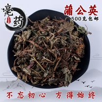 New dandelion tea wild dandelion pure natural dandelion pugongying 500g