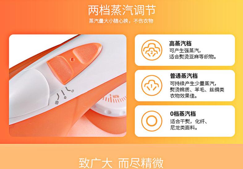 Chi nhánh bay FL9309FL9308 Sắt cầm tay Steam Jet Jet Hộ gia đình Mini Mini 