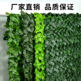 Моделирование забора Подъем горного тигрового растения на открытом воздухе Потолочный цветочные виноградные зеленые растения перегородка уродливые ротантные ландшафтные декоративные листья