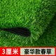 3 см. Высота травы Новая модернизированная роскошная весенняя трава [50 квадратных метров]
