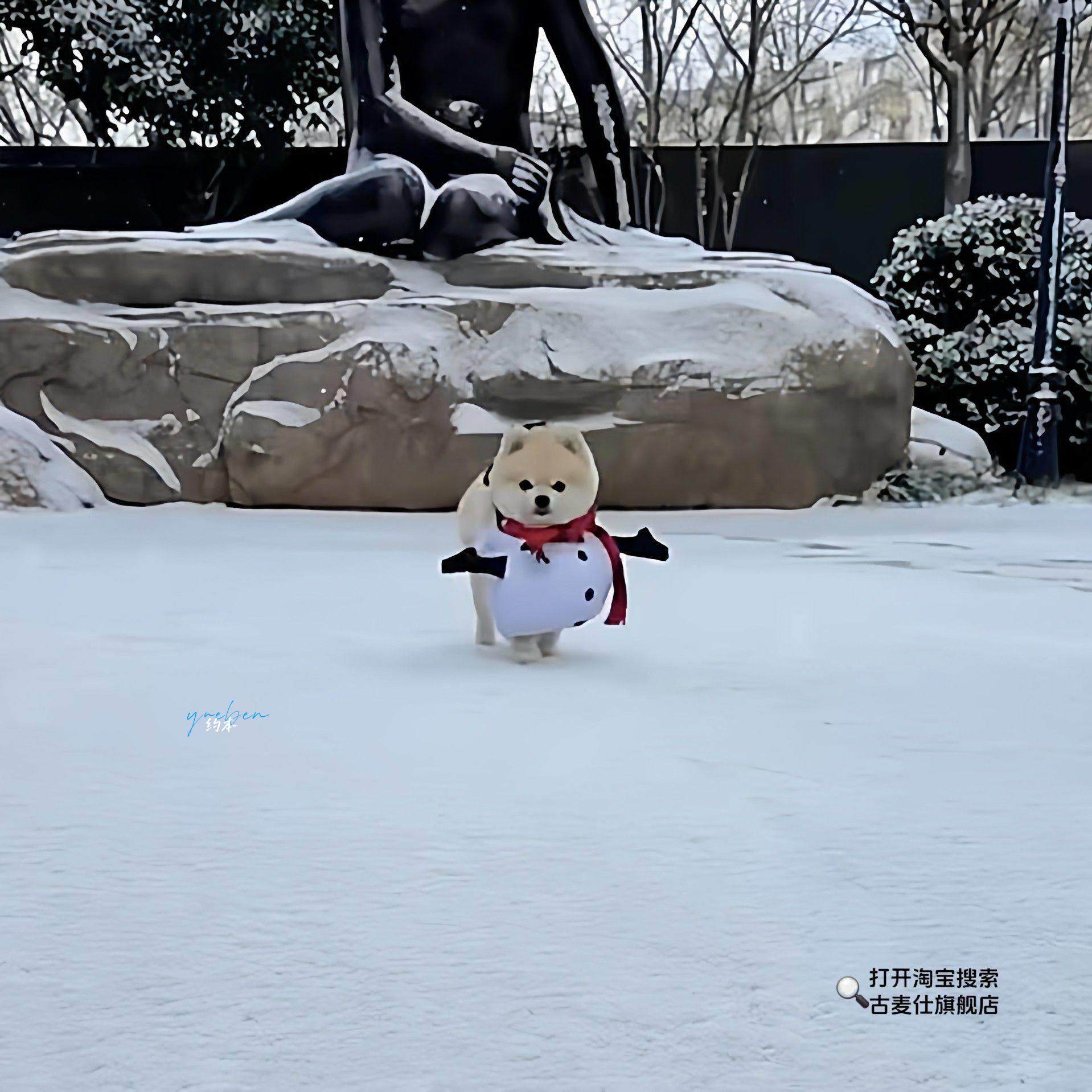 [Winter Dog Coat]Puppy Snowman Coat Little Reindeer Outfit Small Dog Outdoor Cute Warm Decoration