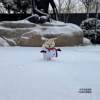 [Winter Dog Coat]Puppy Snowman Coat Little Reindeer Outfit Small Dog Outdoor Cute Warm Decoration