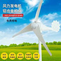Wind turbine household 220V small and medium-sized S solar complementary monitoring street lamp for grassland offshore ships