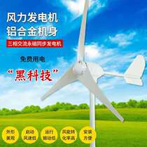 Small wind turbine 400—600W monitoring street lamp Household marine pastoral mountain area 12V24V48v foot watt
