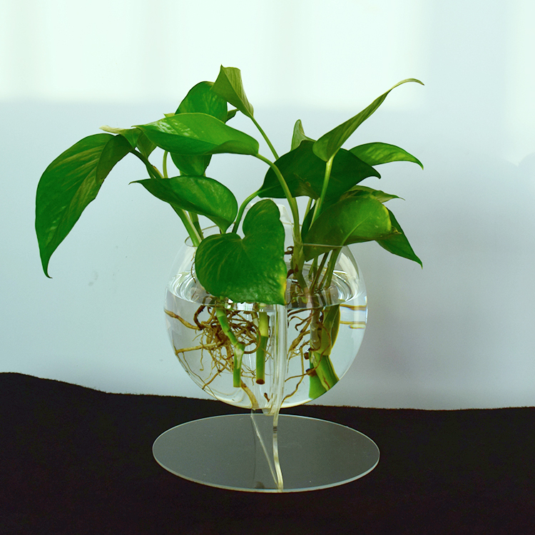 Creative acrylic flower vase transparent vase water raised green dill flower pot bedroom living room transparent vase decoration