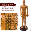 Traditional Chinese Medicine Acupuncture Human Body Acupuncture Point Twelve Meridian Model Small Mannequin for Practicing Acupuncture on the Whole Body