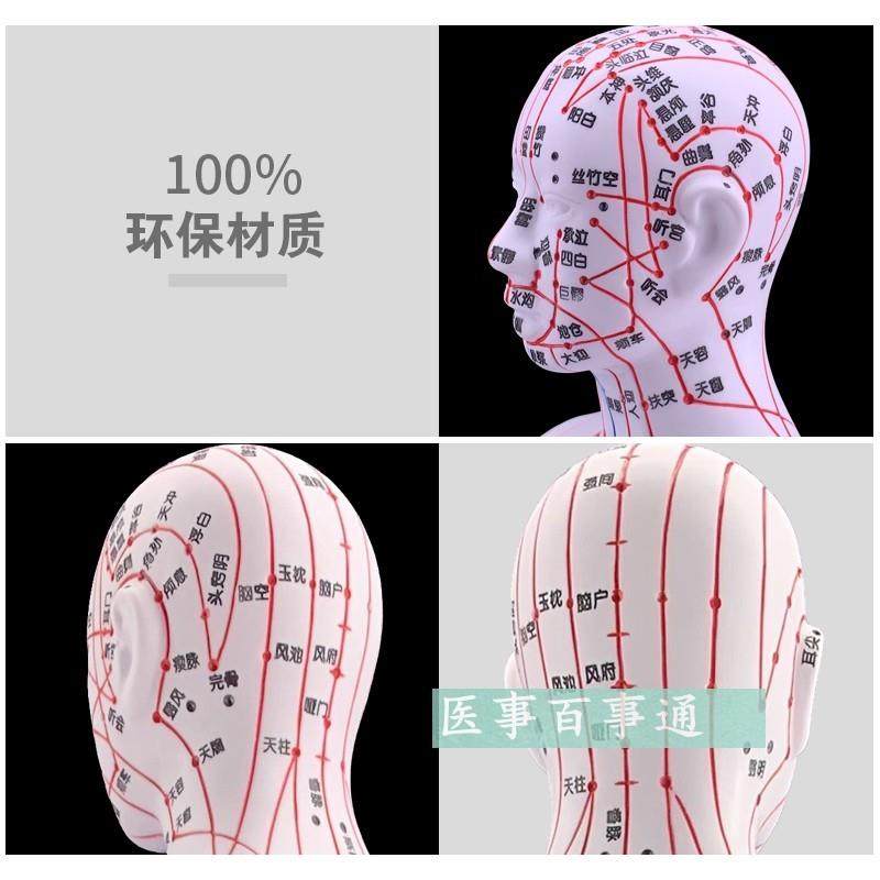 Meridian Large Size A60Cm Human Acupoint Model Human Meridian Mold Human Acupuncture Model Twelve Meridians