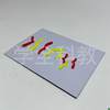 Model Components for Chromosome Changes during Meiosis, Magnetic Stickers, High School Biology Experiment Equipment for Teaching