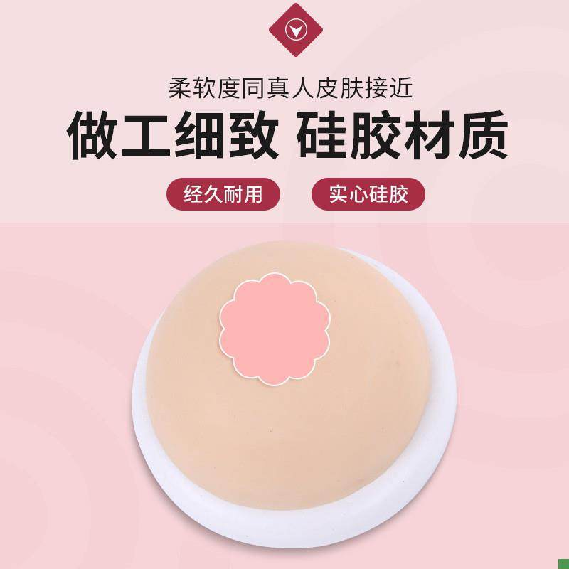 Simulated Breast Silicone Breast Model Teaching Aid Inverted Mold Large Breast Model Double-Sided Lactation Specialist Home Care Training