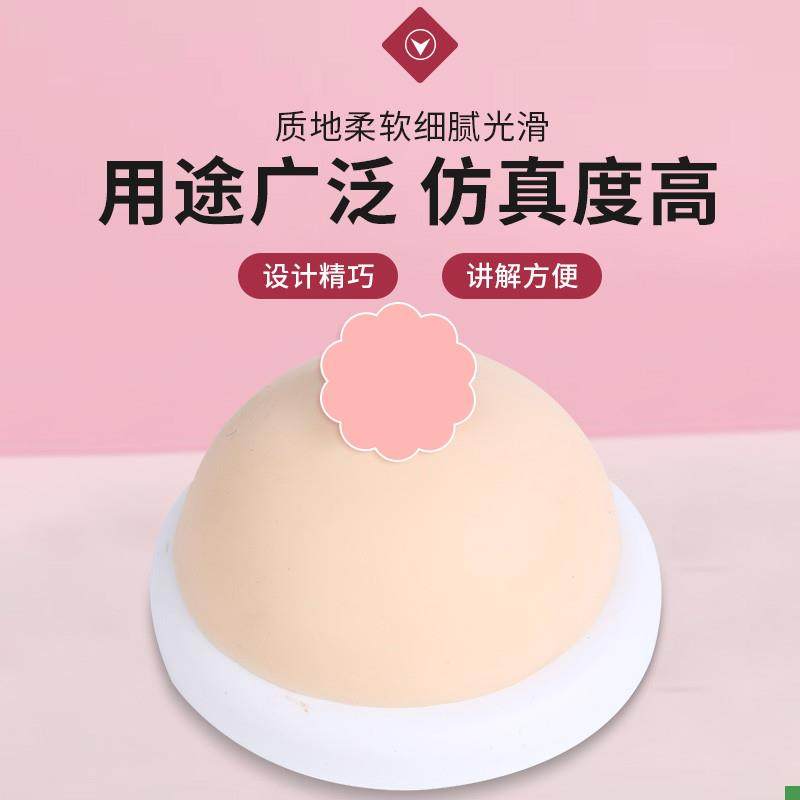 Simulated Breast Silicone Breast Model Teaching Aid Inverted Mold Large Breast Model Double-Sided Lactation Specialist Home Care Training